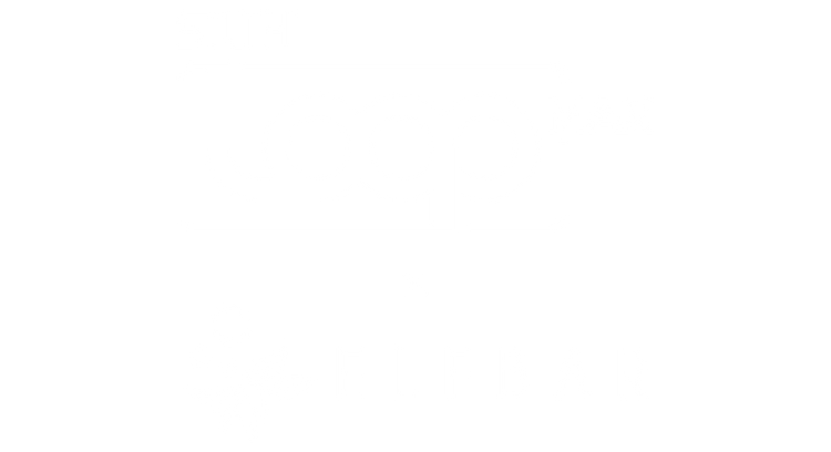 Loop Max X Elfbar