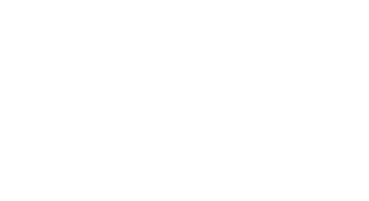 Loop Max X Vice